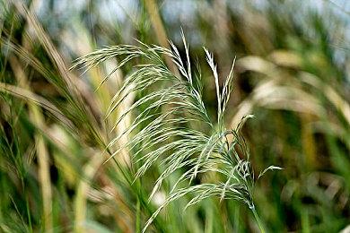 狗爷游戏公司改编的游戏《时间规划局》将于本周四在《堡垒之夜》上推出