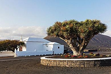 字节跳动否认暴雪前CEO收购TikTok传言：假的！