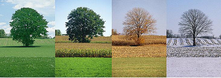 《女神异闻录：夜幕魅影》Steam版将于4月25日发售